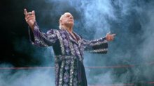摔跤传奇 Ric Flair 谈论离开 WCW、他的女儿 Charlotte 以及 30 For 30 Doc